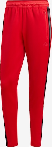 ADIDAS SPORTSWEAR Tapered Workout Pants in Red: front