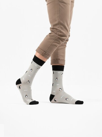 The Arctic Bay Socks 'AUSTRAL EDITION Gift box 4 Pack Unisex' in Mixed colours