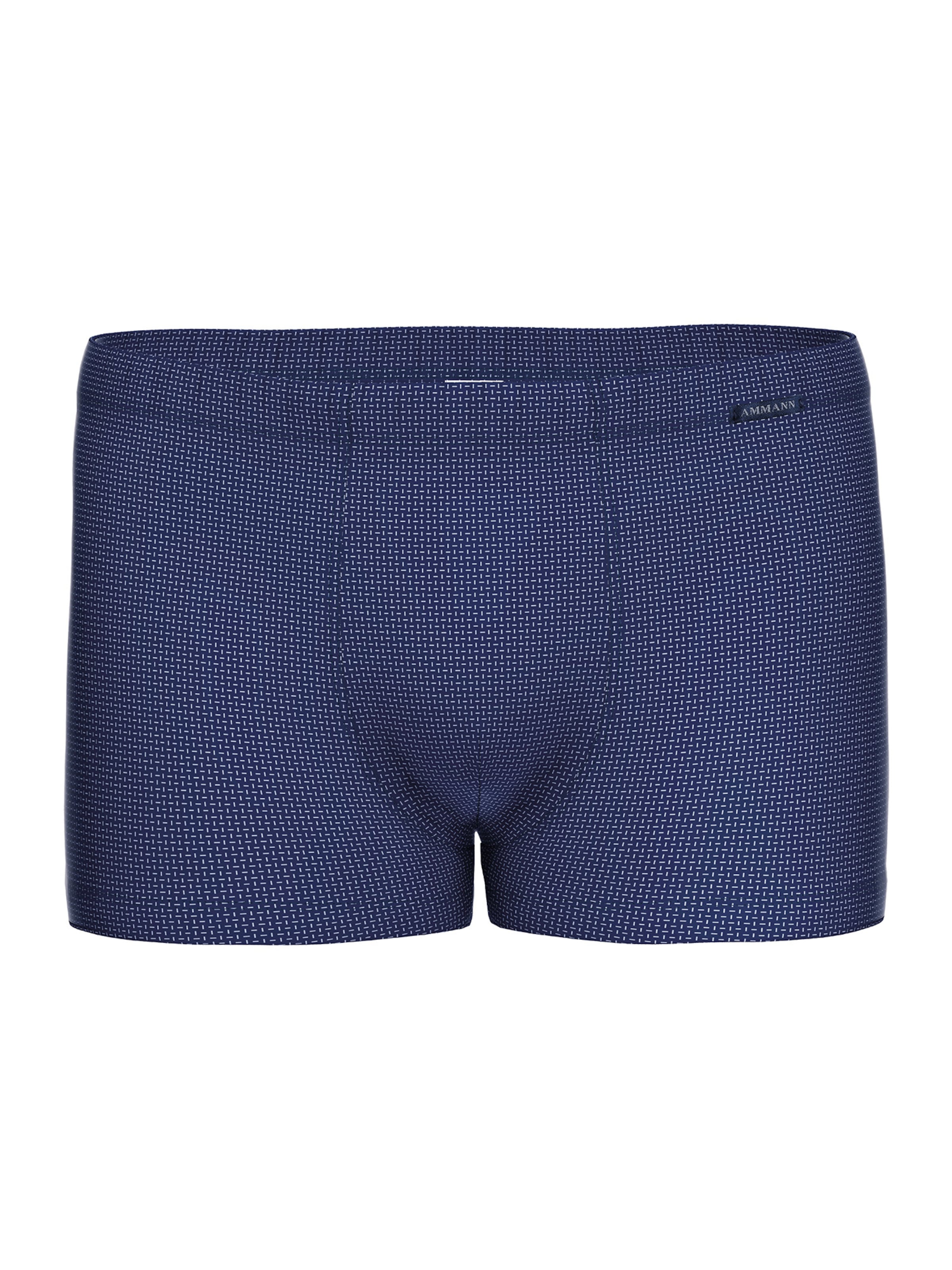 Boxers ' Nelson ' Ammann en bleu
