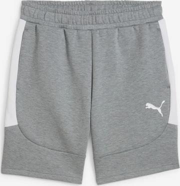 PUMA Sports trousers 'teamEvostripe' in Grey: front