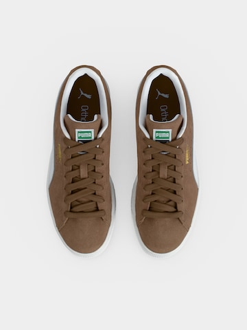 PUMA Sneaker in Braun