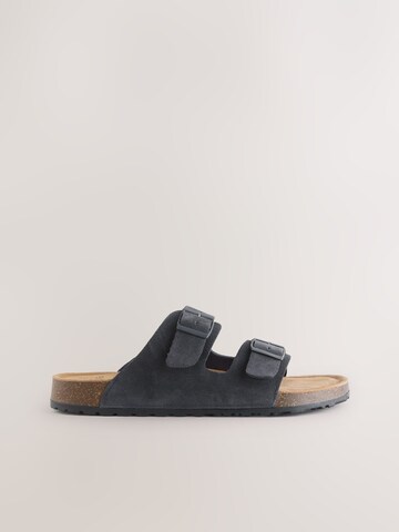 Next Mule in Blue