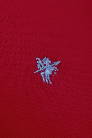 DENIM CULTURE - Camiseta 'Eostre' en rojo