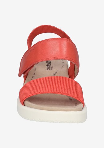 Westland Sandals 'Albi 07' in Red