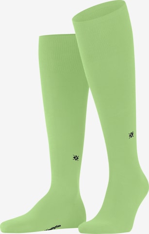 BURLINGTON Kniestrümpfe 'Dublin' in Grün: Vorderseite