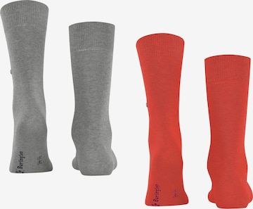 BURLINGTON Socks in Grey