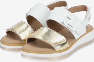 IGI&CO Sandals in White