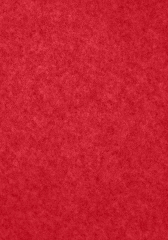 LASCANA Φθινοπωρινό και ανοιξιάτικο μπουφάν σε κόκκινο
