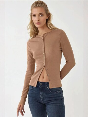 Hiccup Blouse in Brown: front