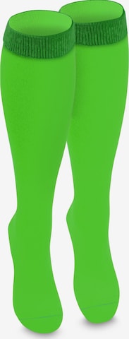 normani Knee High Socks in Green