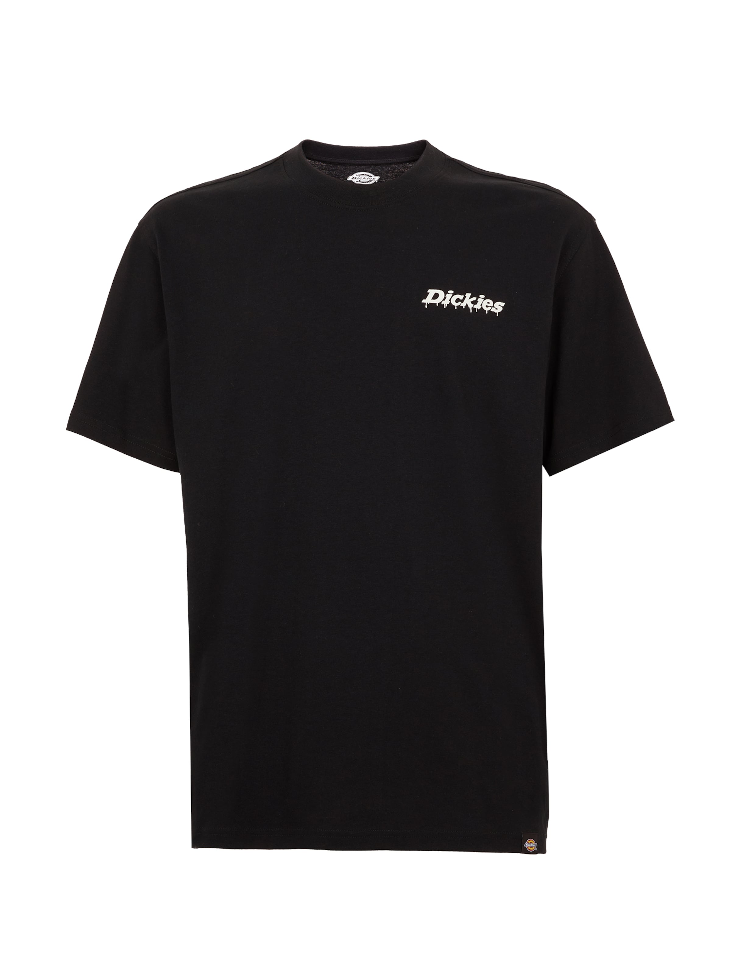 DICKIES Μπλουζάκι 'Statesville' σε μαύρο: μπροστά