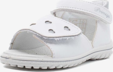 PRIMIGI Sandals & Slippers in White: front