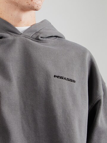 Pegador Sweatshirt i grå