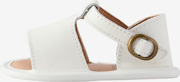 Next Vastsündinu, värv valge: eest vaates