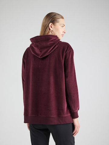 Sweat-shirt TOMMY HILFIGER en rouge