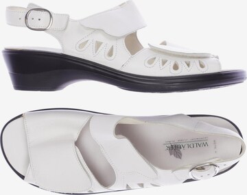 WALDLÄUFER Sandals & High-Heeled Sandals in 39,5 in White: front