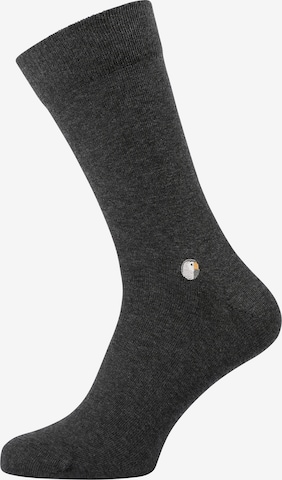 Chaussettes Sokid en noir