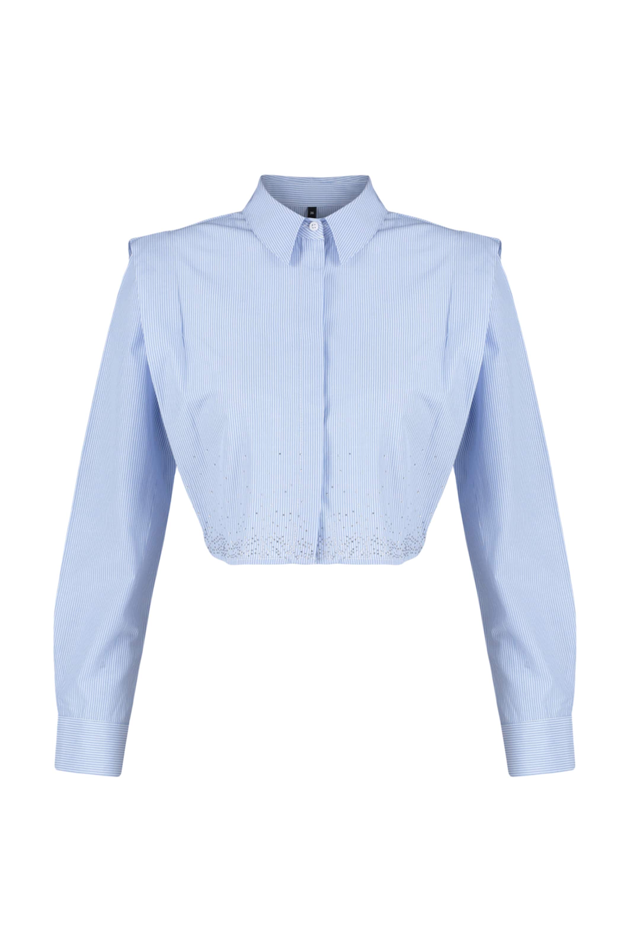 Camicia da donna di Trendyol in blu: frontale