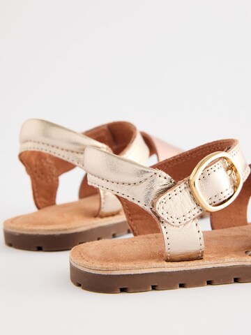 Next - Sandalias en Mezcla de colores