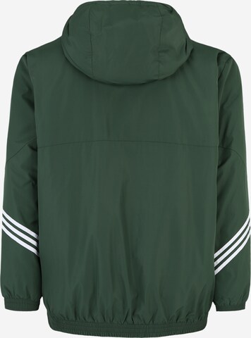 Giacca per outdoor 'Back To ' di ADIDAS SPORTSWEAR in verde