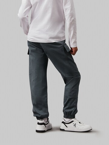 pilka Calvin Klein Jeans Siaurėjantis Kelnės 'ESSENTIAL'