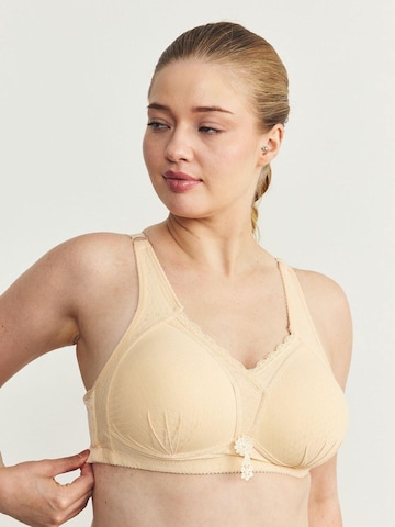 Bustier Soutien-gorge C&City en beige