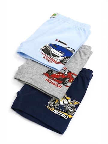 ÖTS Bielizna 'ÖTS Herren Boxerbriefs' w kolorze mieszane kolory