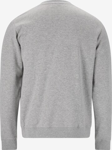 Virtus Athletic Sweatshirt 'Kritow' in Grey