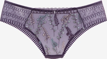 LASCANA Boyshorts in Purple: front