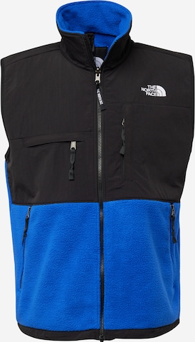 Gilet 'RETRO DENALI' THE NORTH FACE en bleu : devant