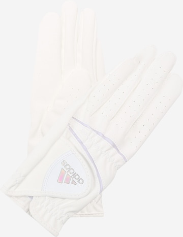 ADIDAS GOLF Athletic Gloves in White: front