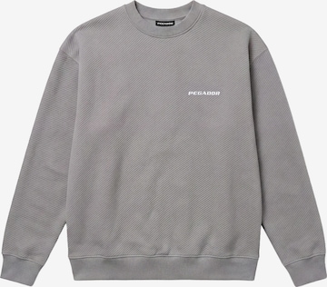 Sweat-shirt 'Tate' Pegador en gris : devant