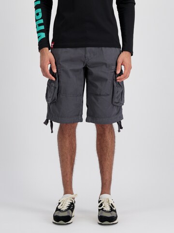 ALPHA INDUSTRIES - Loosefit Pantalón 'Jet' en gris: frente
