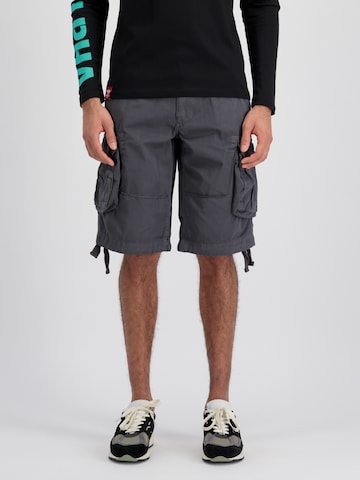 Regular Pantaloni cu buzunare 'Jet' de la ALPHA INDUSTRIES pe gri: față