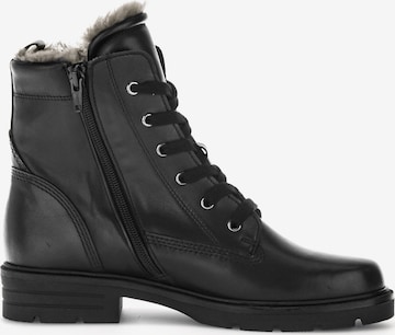 GABOR Lace-Up Ankle Boots in Black