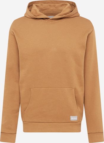 HOLLISTER Sweatshirt i brun: forside