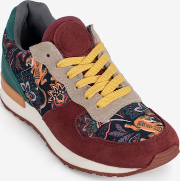 Baskets basses 'Yuuki' inkkas en marron : devant