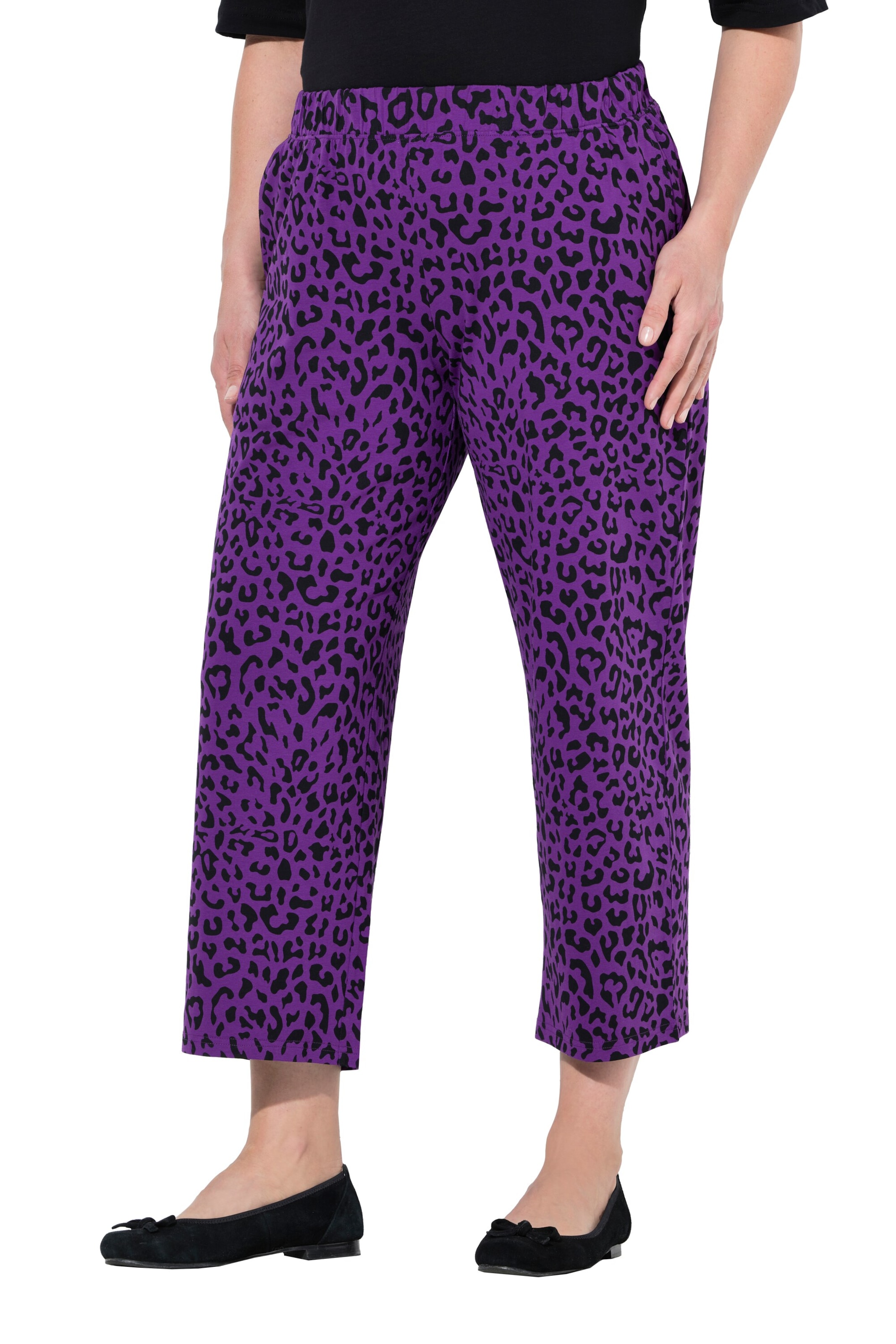 Ulla Popken Regular Pants in Purple: front