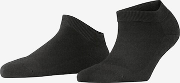 FALKE Füßlinge 'ClimaWool' in Grau: Vorderseite