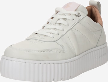 SALAMANDER Platform trainers in White: front
