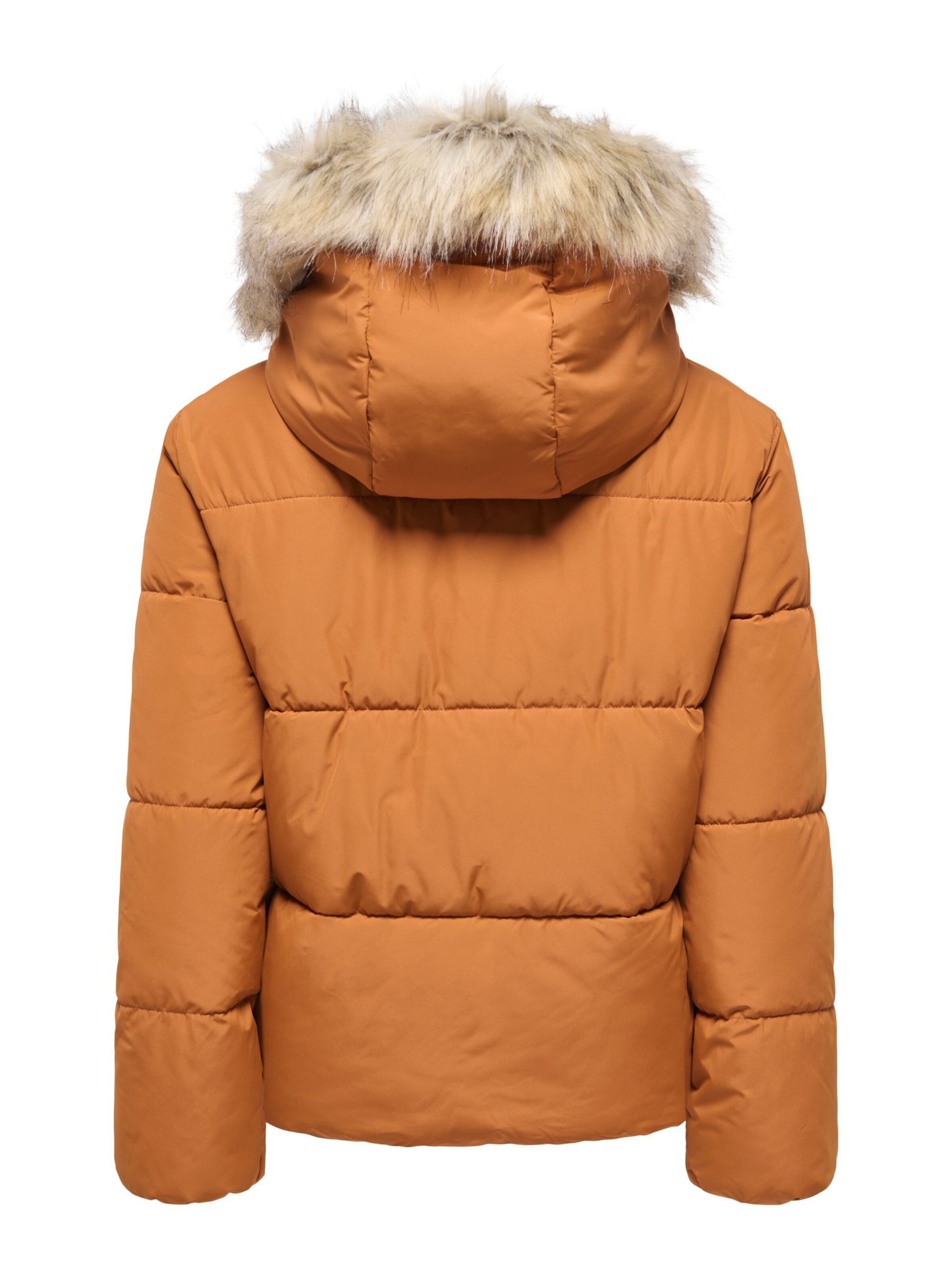 ONLY Winter jacket 'ONLJuta' in Brown