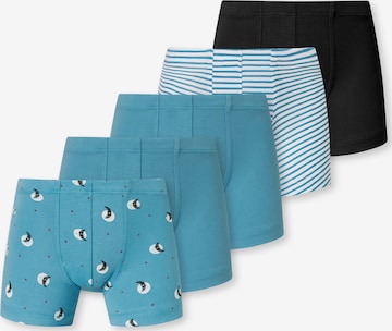 SCHIESSER Unterhose '95/5 Organic Cotton' in Blau: Vorderseite