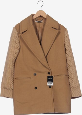 Stella McCartney Jacket & Coat in XL in Brown: front
