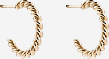 Cala Rose Ohrringe 'BRAIDED HOOPS' in Gold: Vorderseite