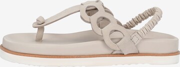 Crickit T-Bar Sandals in Beige