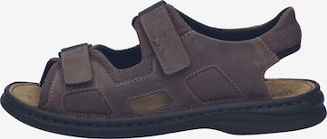 JOSEF SEIBEL Sandale Max 61 in Braun: Vorderseite