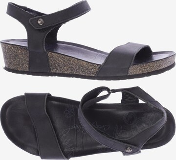 PANAMA JACK Sandals & High-Heeled Sandals in 41 in Black: front