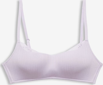 ESPRIT Bra in Purple: front