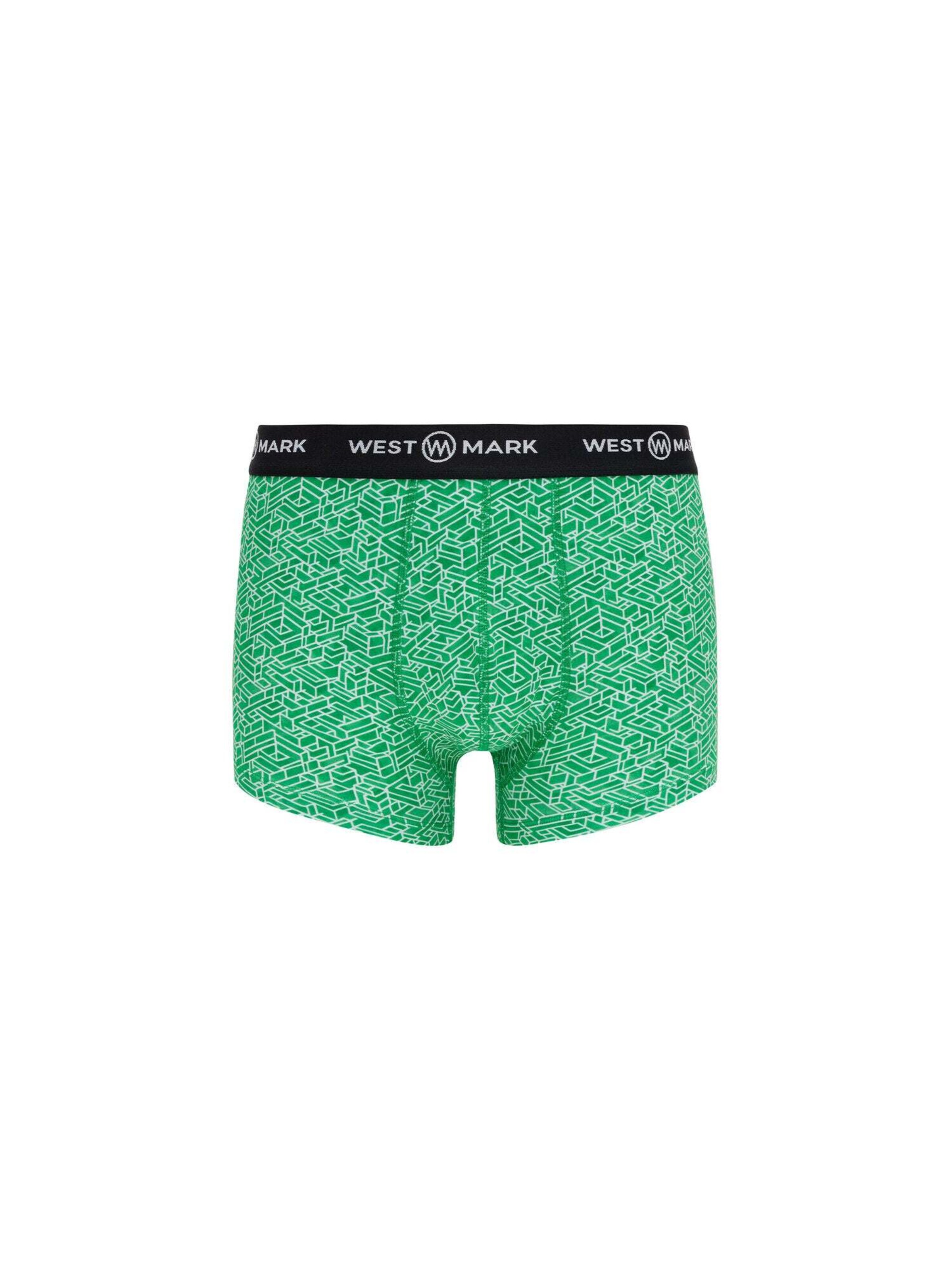 WESTMARK LONDON Boxer shorts 'Oscar' in Green