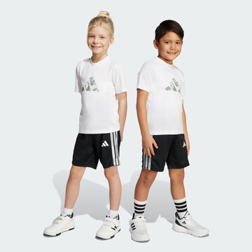 ADIDAS SPORTSWEAR Тренировочный костюм 'Essentials' в Белый: спереди